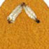 Orange & Ivory