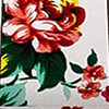 White & Red Peonies