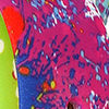 Paint Splatter
