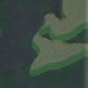 Army Camo