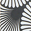 Hypno Black and White