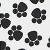 Paw Print