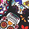 Sugar Skulls