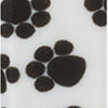 Paw Prints