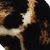 Animal Print