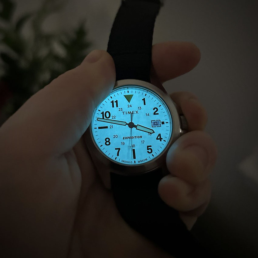Worn & Tested: Timex Expedition Field Watch Review | StrapsCo